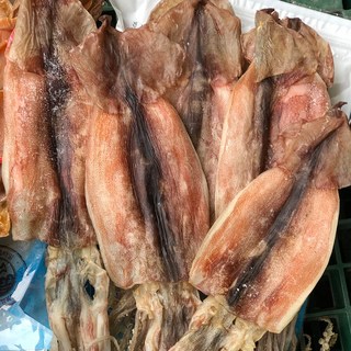 신건호멸치 동해안 햇 반건조오징어 / 국산 부드러운 피데기, 1박스, 소 (1kg) 8~10마리