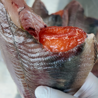 신선만 참가자미 알가자미 반건조 가자미 포항 알배기, 1개, 대 1kg 4마리