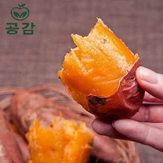 [공감]풍원미 햇 당근 고구마 호박 고구마 7일한정 특가[농장선별 배송], 1박스, 3kg(한입)