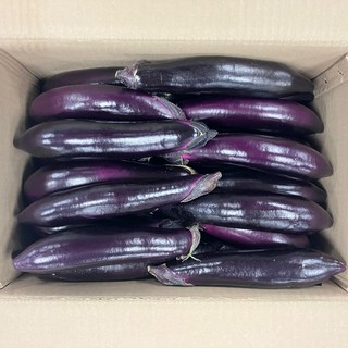 클릭마켓 국내산 햇 가지 2kg, 2kg(1개), 1개 건미역10kg