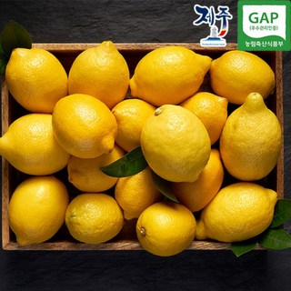 제주 GAP 인증 제주레몬, 1개, 2.5kg × GAP 인증 제주 레몬 2.5kg ×