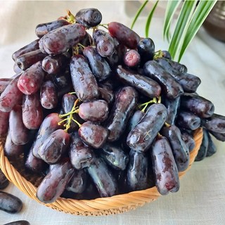 푸디팜 블랙사파이어포도 사파이어포도 가지포도 블랙포도사파이어, 1개, 1kg