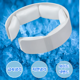 디센느 아이스 넥밴드 선풍기, 화이트