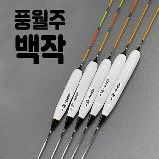 풍월주 백작2 대물찌