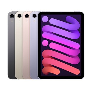 중고 애플 아이패드 미니 6세대 8.3형, 핑크, 64GB, Wi-Fi