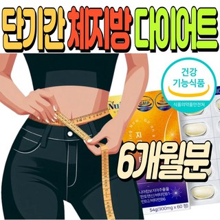 단기간 다이어트 체지방 내장지방 컷팅 가르시니아 캄보지아 허리둘레 허벅지살 아랫배 감소 판토텐산 HCA, 6박스, 60정