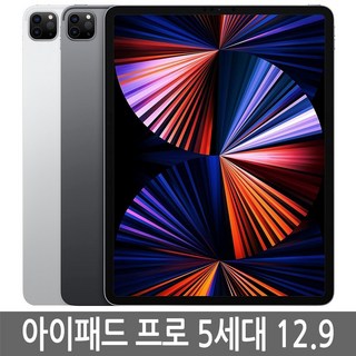 3. 아이패드 프로 ..