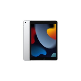 애플 아이패드 9세대 WiFi 64GB 실버 MK2L3KHA