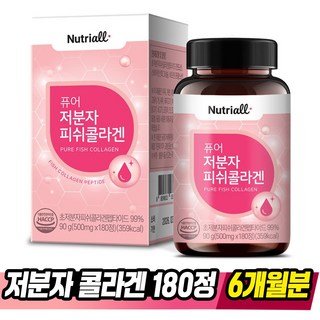 저분자콜라겐추천