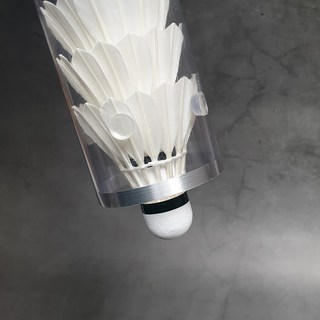 투명 셔틀콕케이스 배드민턴 픽미케이스