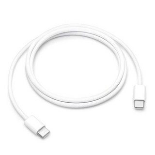 Apple 정품 USB C 충전 케이블 1m, MW493FE/A, 1개