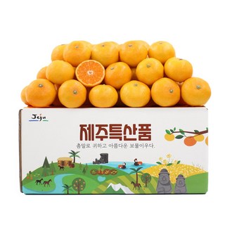 천하일품 서귀포 제철 감귤, 1개, 21.감귤 2kg 소과(2S)