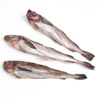 동태 21.5kg내외, 1박스, 6통 21.5kg전후(24마리)