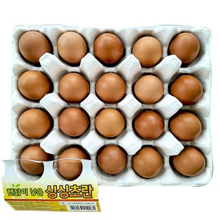 무항생제 유정란 달걀 계란 초란 40구, 2개, 20구
