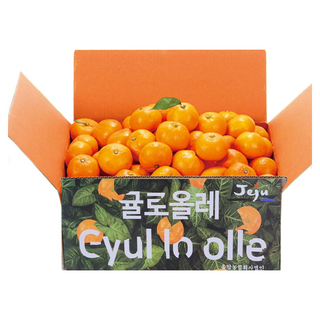 귤로올레 25년 제주직송 고당도 햇하우스감귤, 1박스, 하우스감귤4.5kg꼬마소과