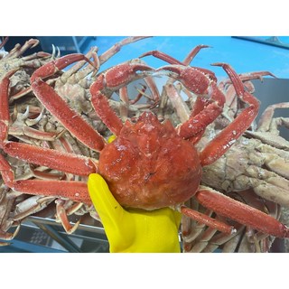 수율보장 박달 특 A급 러시아대게 자숙대게 가성비 B급 대게, 1박스, A급 3kg