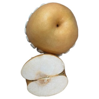 신선하고 풍부한과즙 아삭달콤 특품 나주배, 1개, 5kg(가정용8-10과)