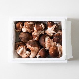 참송이버섯 가정용500g 1kg 2kg 4kg 건강한 밥상 향긋한 자연, 1박스, 가정용1KG