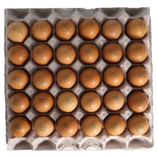 [HACCP 인증 국내산 대란]줄서서 먹는 소문난 맛집 구운란 30구