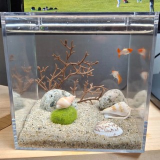 미니 아쿠아스케이프 아크릴 어항세트, 1세트, B옵션