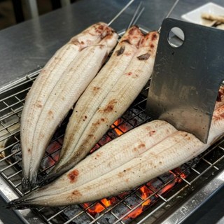 청정미 자포니카종 프리미엄 손질장어