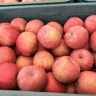 1번중도매인 산지에서 바로 보내는 안동사과(부사) 가정용 흠과 대과, 1박스, 가정용 대과 5kg(13과-17과)