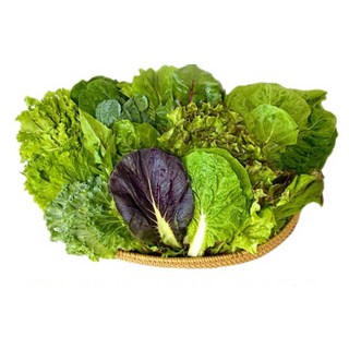 [물맑은 양평] GAP인증 지평 농부 모듬쌈채소(1kg), 1kg, 1개