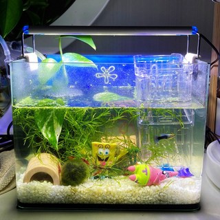 트윈스타600e LED 수족관 등커버