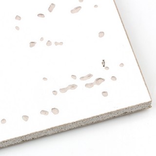 석고텍스 x2EA의 주요 특징