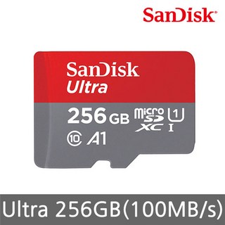 샌디스크 SD 익스트림 프로 메모리카드 SDSDXPA, 1개
