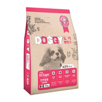 시저코리아-추천-상품