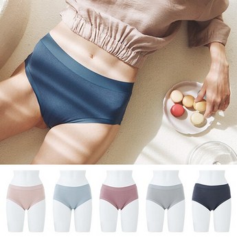 라페어인견팬티-추천-상품