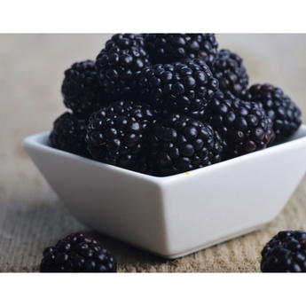 오디마크3-추천-상품