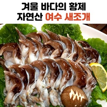 맛조개작살 추천 상품 가격 및 도움되는 리뷰 확인!-추천-상품