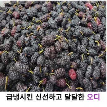 오디언트 ID4, 2024년 최고의 선택은? 7가지 모델 비교 분석 5 2024 최신 오디언트id4 추천 순위 BEST 7-추천-상품