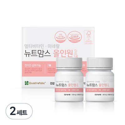  뉴트맘스 올인원 16.5g x 2p 세트, 60정, 2개 _건강한 임신을 위한 필수품