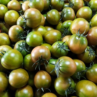 (정품박스 / 대저농협인정) 정품 대저짭짤이 토마토 2.5kg 대저 찰 토마토 2.5kg, 1box, 05) 대저토마토 2.5kg (M~L사이즈)