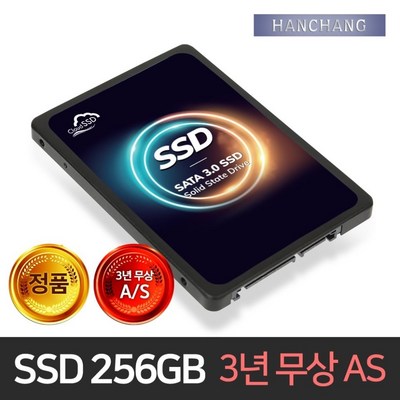 한창코퍼레이션 (당일발송) CLOUD SSD 256GB (오늘출고)