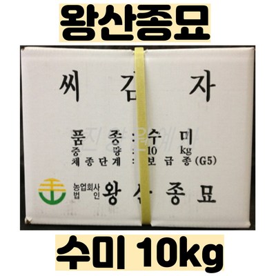  씨감자 ( 수미 / 두백 ) 10kg - 강원도 왕산종묘 - 보급종 종자 - 품질보증 종자 감자, 두백 (10kg), 1개 