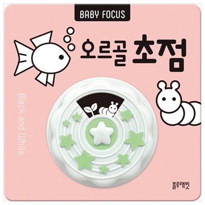 BABY FOCUS 오르골 초점