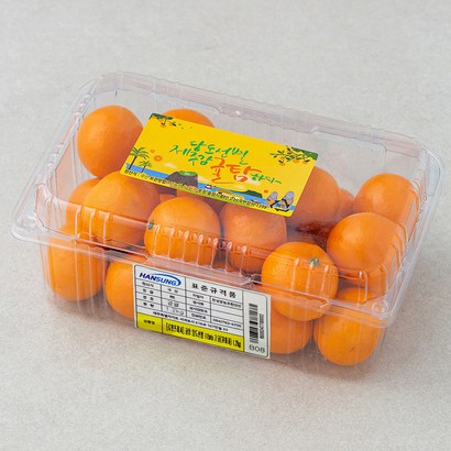 귤탐 당도선별 11brix 감귤, 1.2kg(꼬마과), 1팩