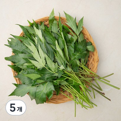 국내산 당귀잎, 100g, 5개