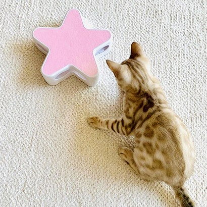 옥희독희 별의별 고양이 장난감