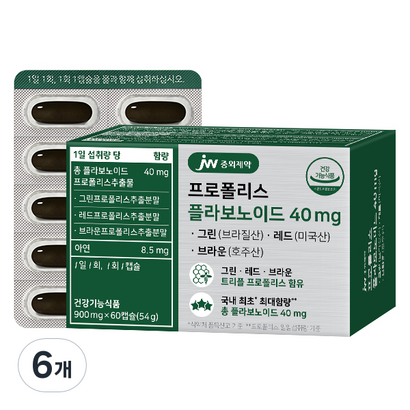 JW중외제약 프로폴리스 플라보노이드 40mg 54g, 60정, 6개