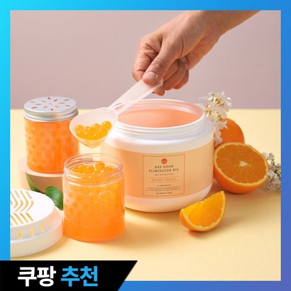 BAS 특대형 실내 탈 취제 빅 _소분용기 포함 - 실내용탈취제 리뷰후기