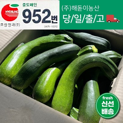 해돋이농산 국내산 쥬키니호박 주키니호박 못난이호박 3kg 5kg 10kg, 1개