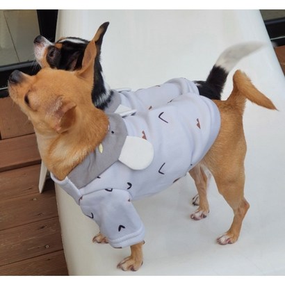 원펫밀리 귀욤토끼곰돌이 티셔츠 맨투맨 강아지 고양이 겨울옷 XS2XL 리뷰후기
