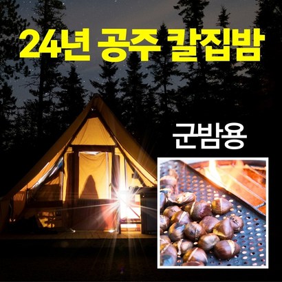 2024년 공주 군밤용 칼집밤 포르단밤 산지농협 직송 - 밤 리뷰후기