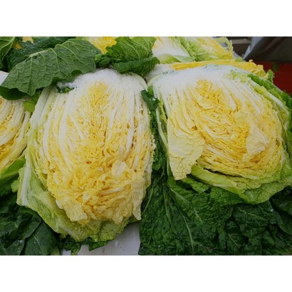 [해남맛팜] 해남 배추 절임배추 김장배추 리뷰후기