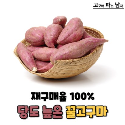 [고파남] 베니하루카 꿀고구마